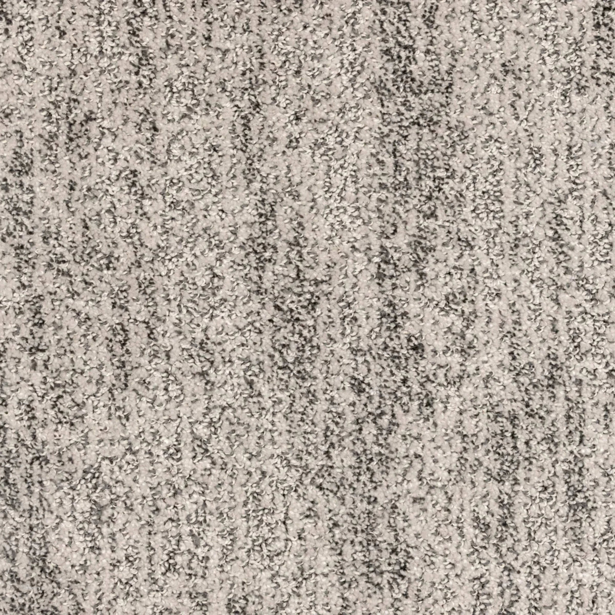 Lionel in Graphite Carpet