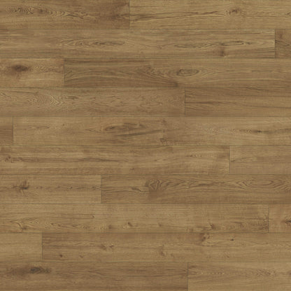 Renaissance in Lucca Hardwood