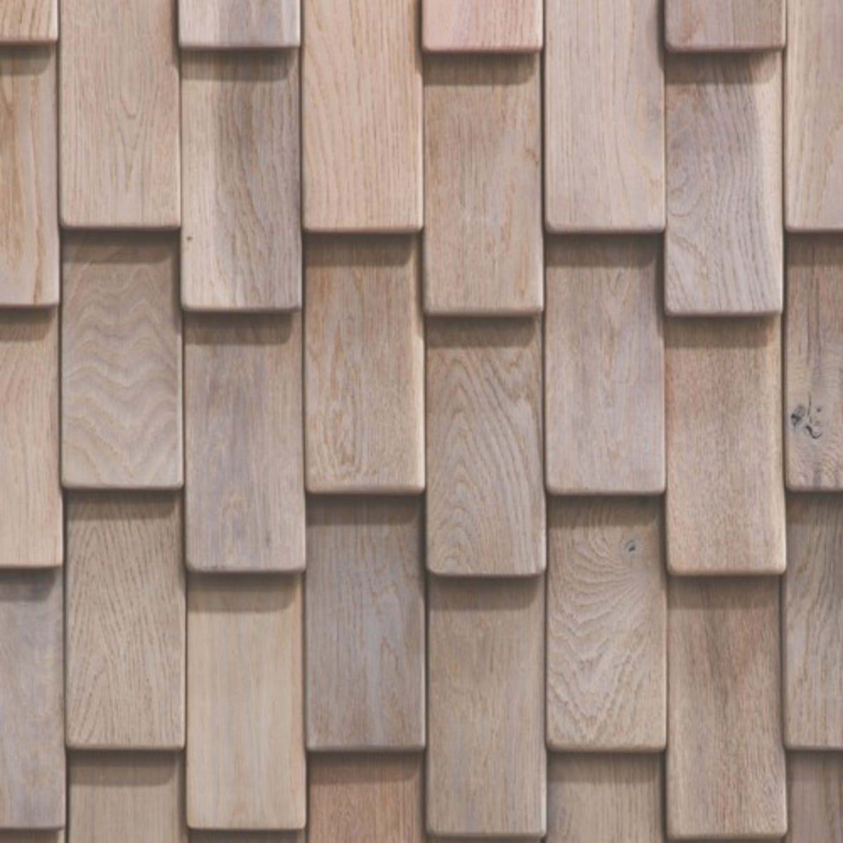 Wall -  Inceptiv - Scale Reckt in Lugano Hardwood
