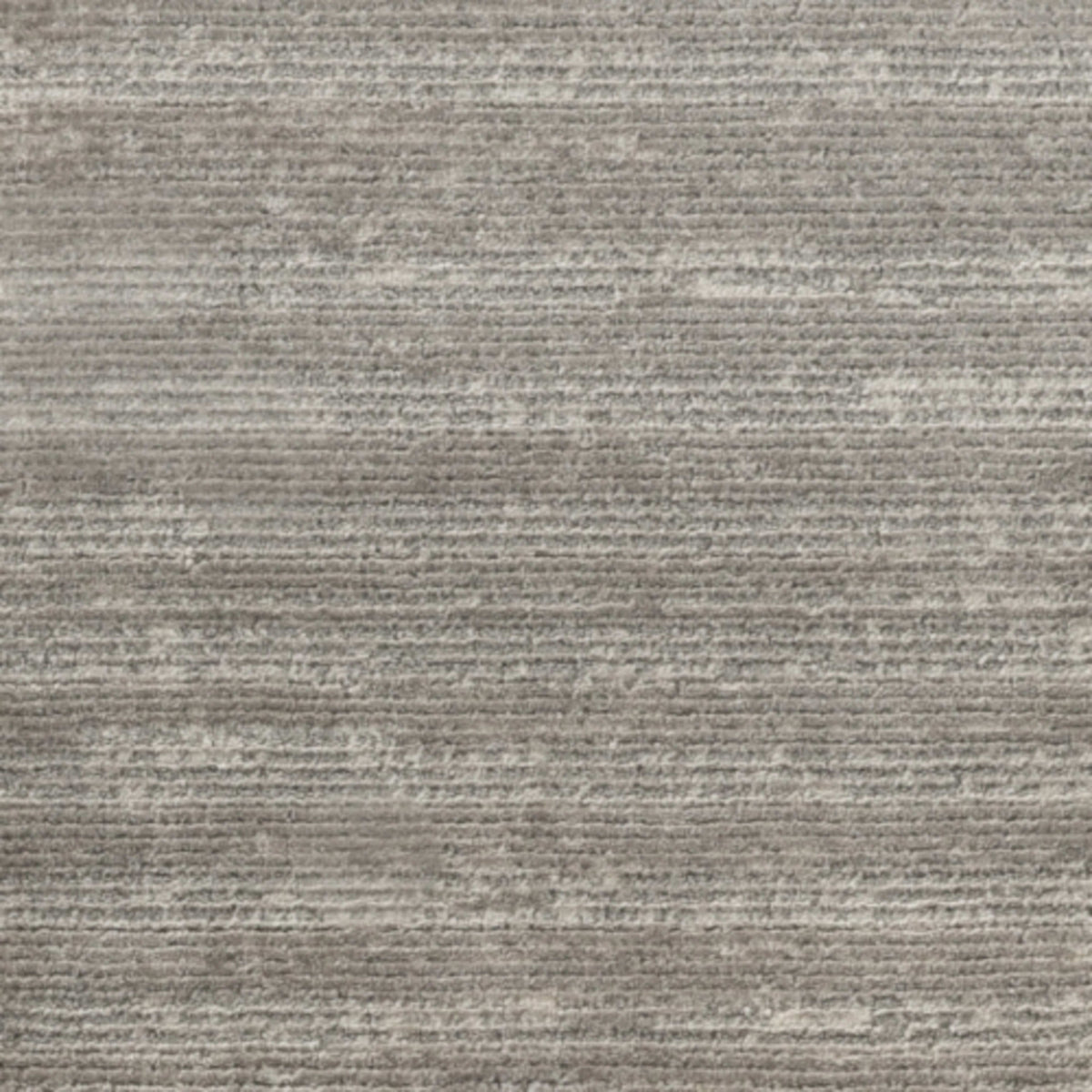 Luxurious in Biscotti Carpet