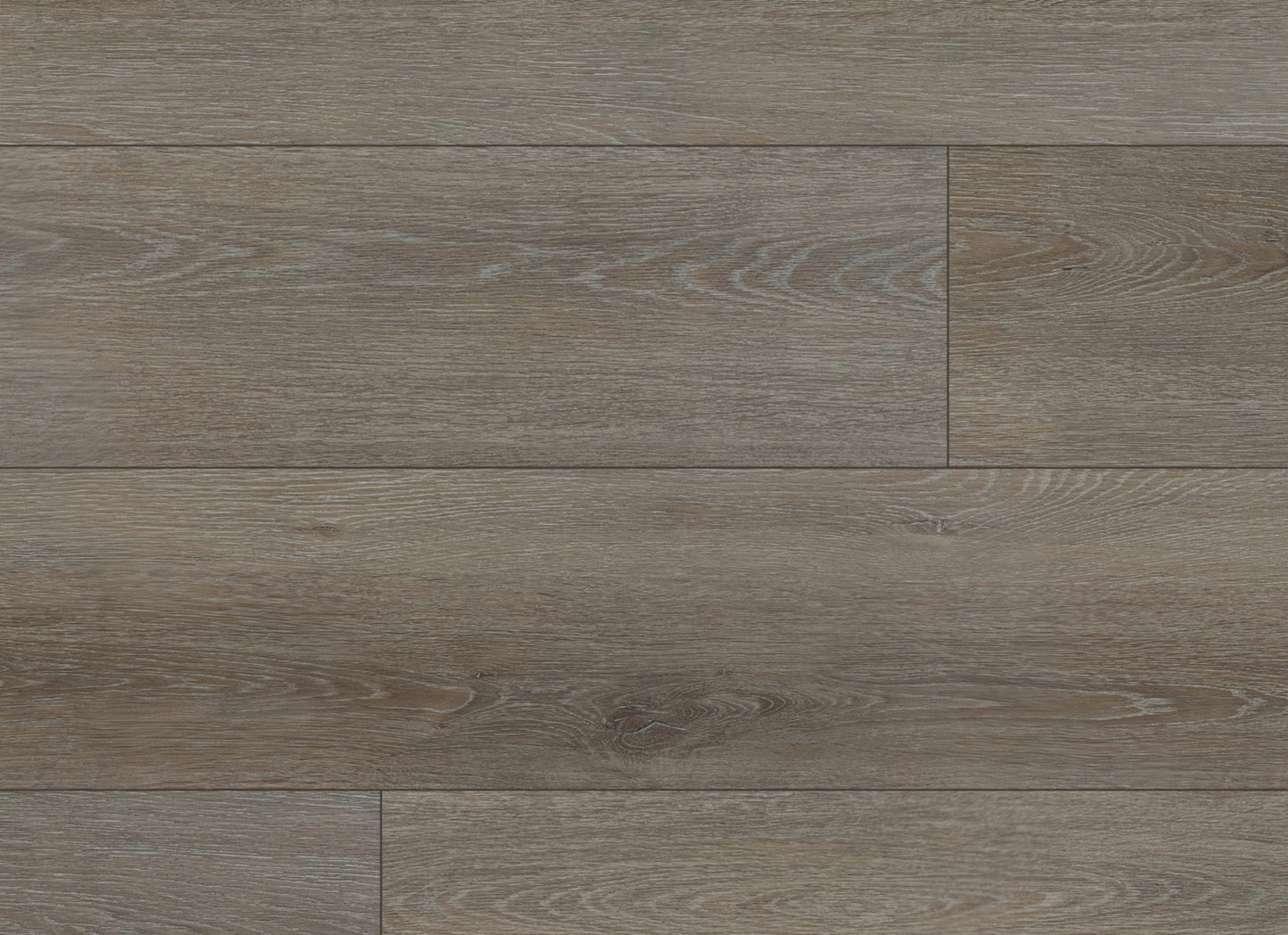 Wide Plank in Wren