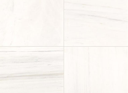 Marble in Contempo White-12x12
