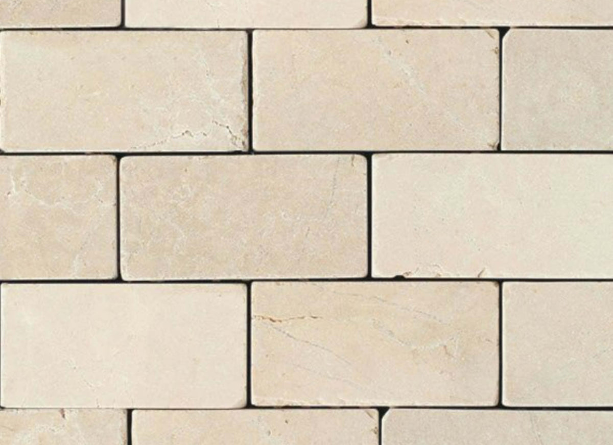Marble in Crema Marfil Cl-12x24-Honed