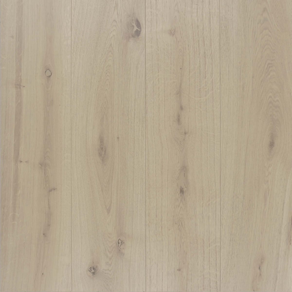 Tierra in Mar Hardwood