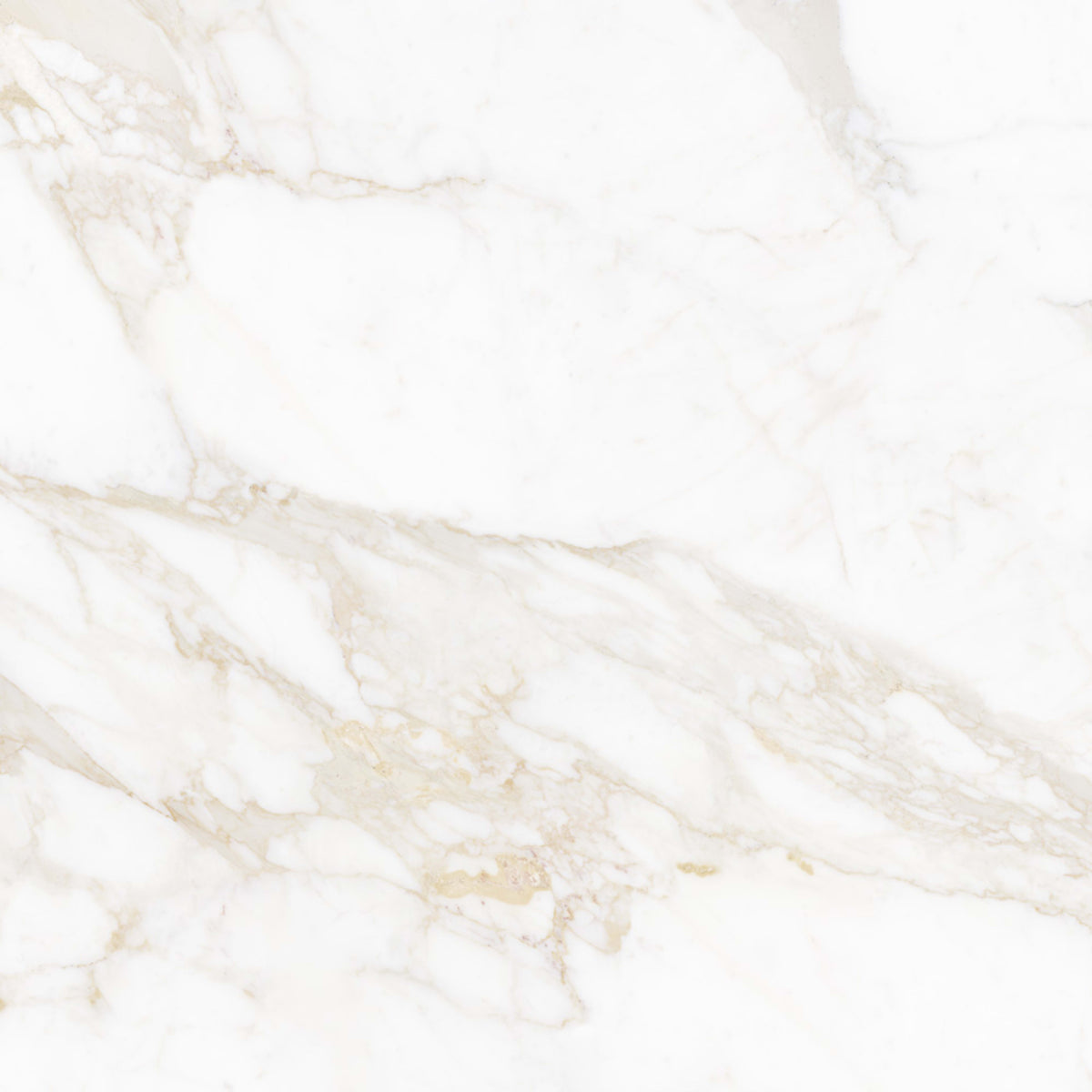 Massa Marble in Calacatta Oro 32x32  Tile