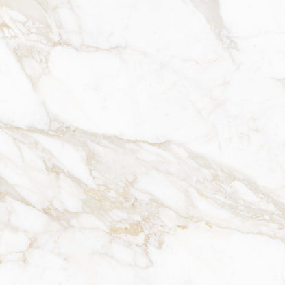 Massa Marble in Calacatta Oro 32x32  Tile