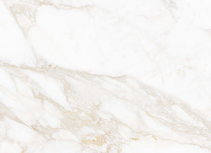 Massa Marble in Calacatta Oro 32x32 