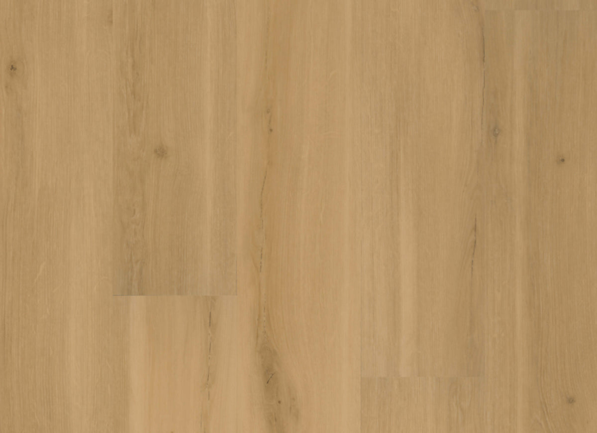 ADURARigid - Swiss Oak in Praline
