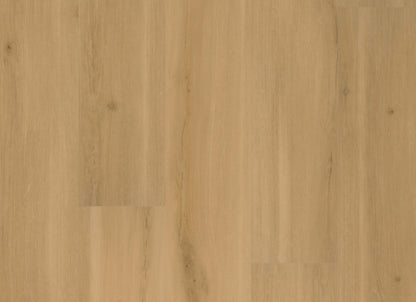 ADURARigid - Swiss Oak in Praline