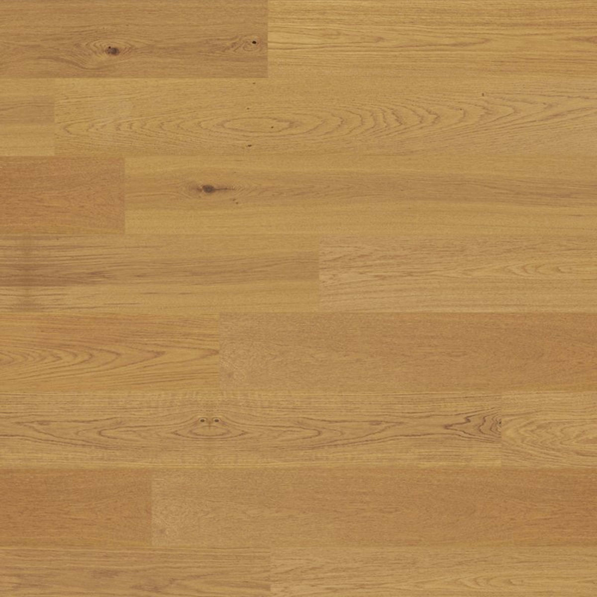 Wilmington Farms in Timeless Oak Hardwood