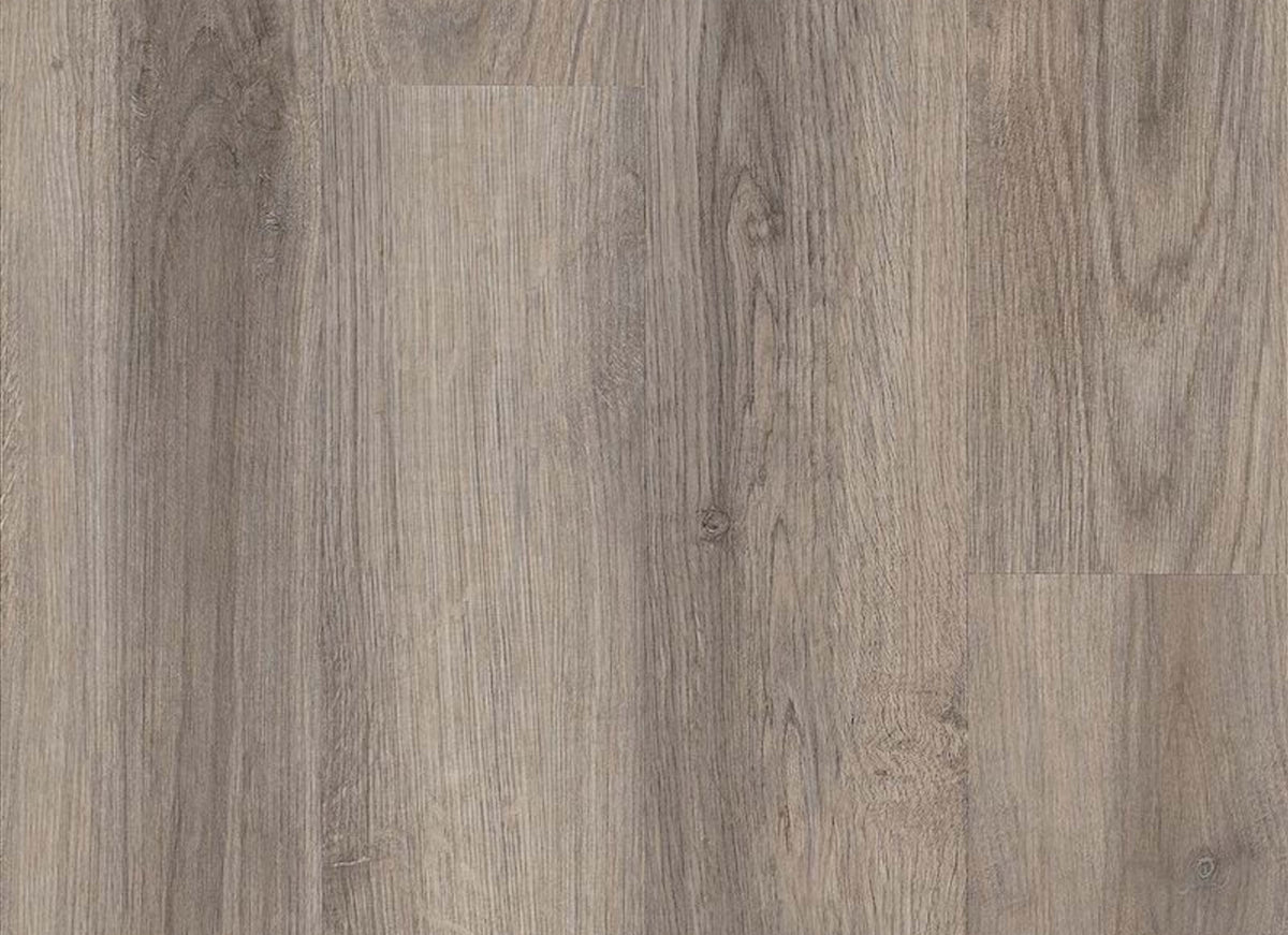 American Charm 12 Burr Mill Oak in Cambridge 6" X 36"