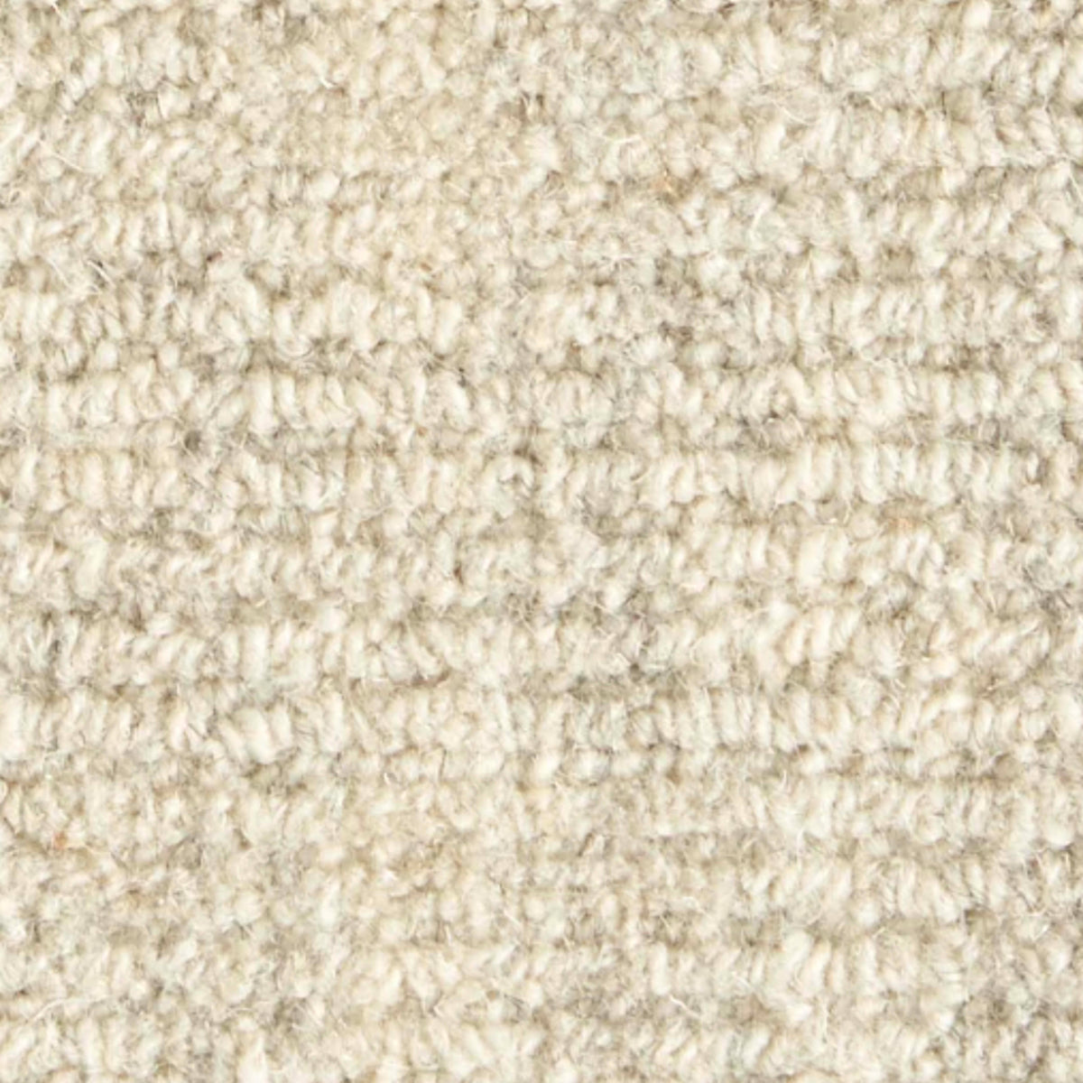 Magnum Opus in Canvas Carpet