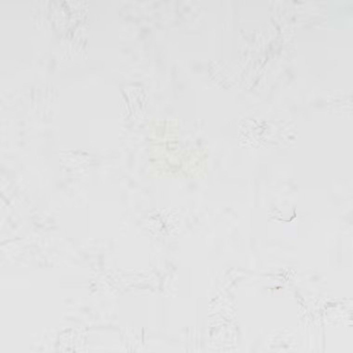 Silestone - Nebula in Miami Oro Solid Surface