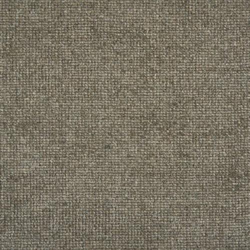 Minka in Earth Carpet