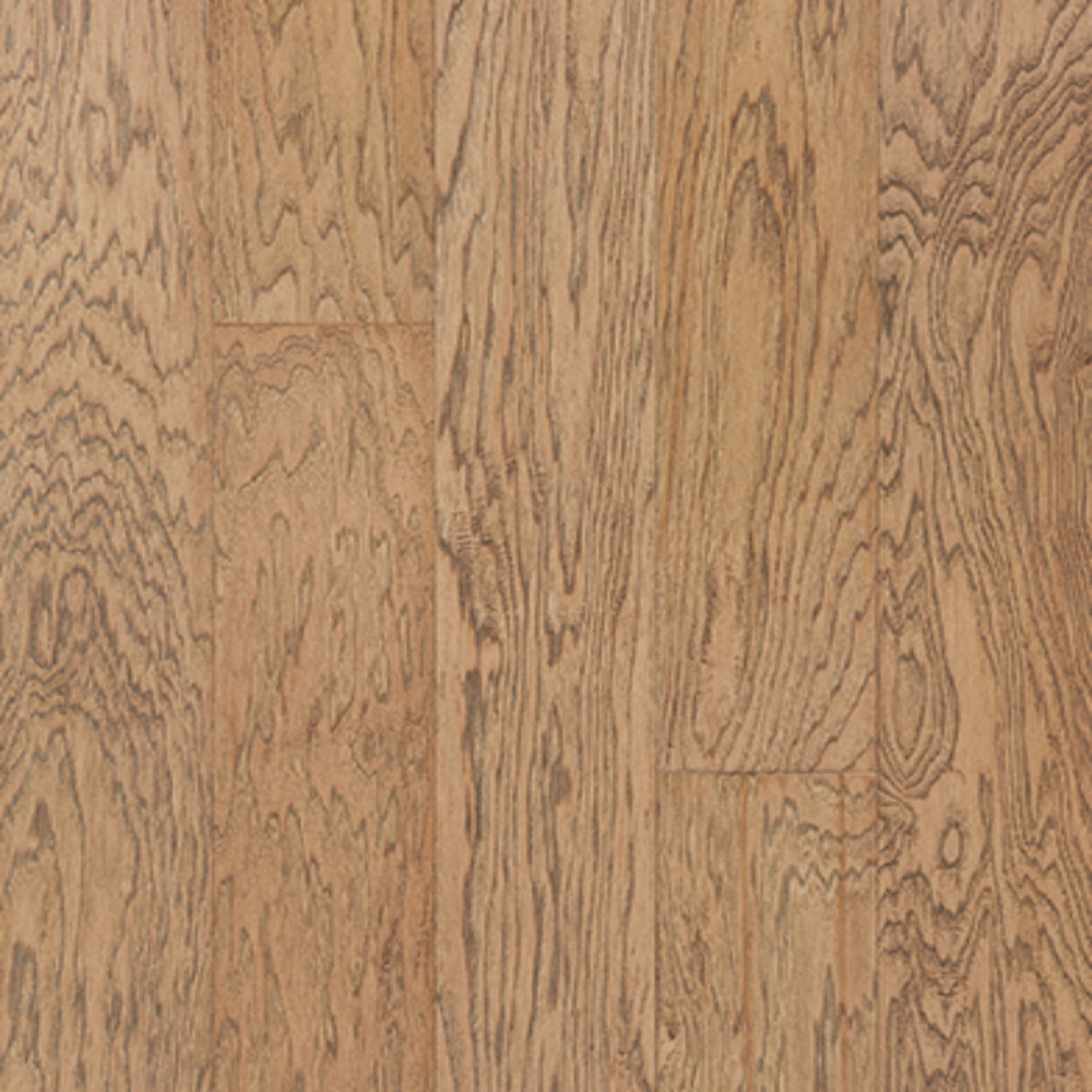 Monte Carlo in Giacomo Hardwood