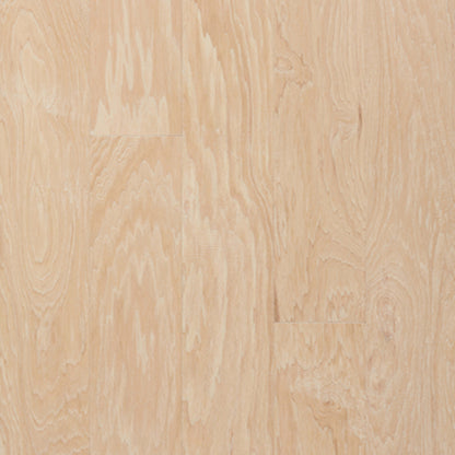 Monte Carlo in Marquette Hardwood