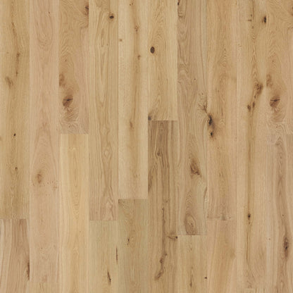 Milky Way Collection in Cosmic Hardwood