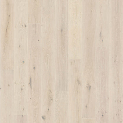 Milky Way Collection in Daphnis Hardwood
