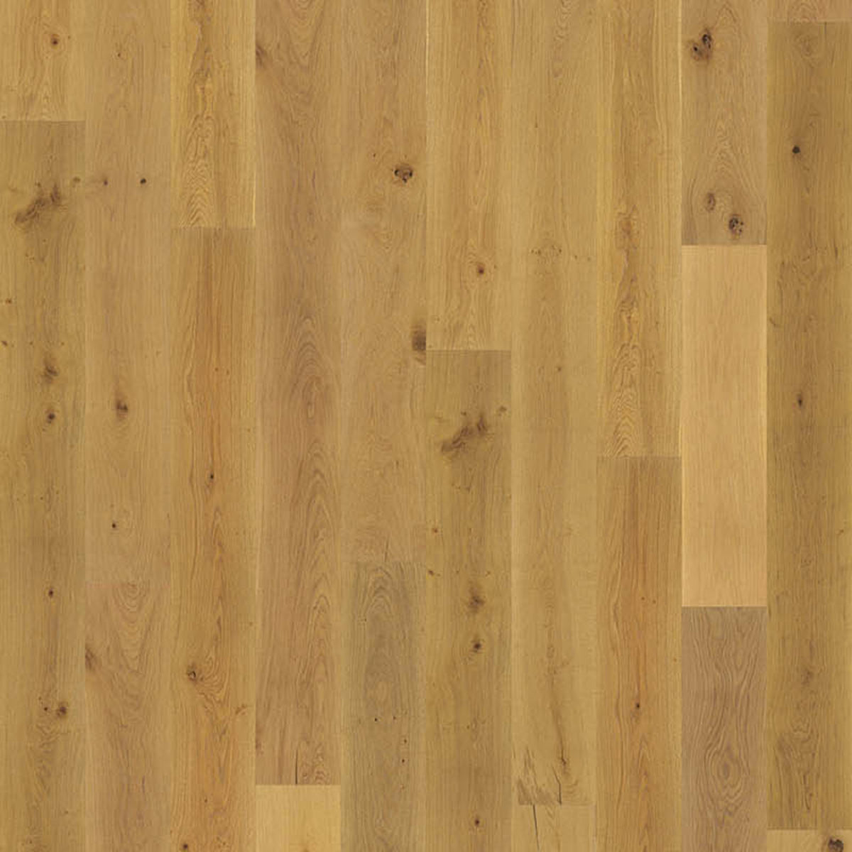 Milky Way Collection in Lunaire Hardwood