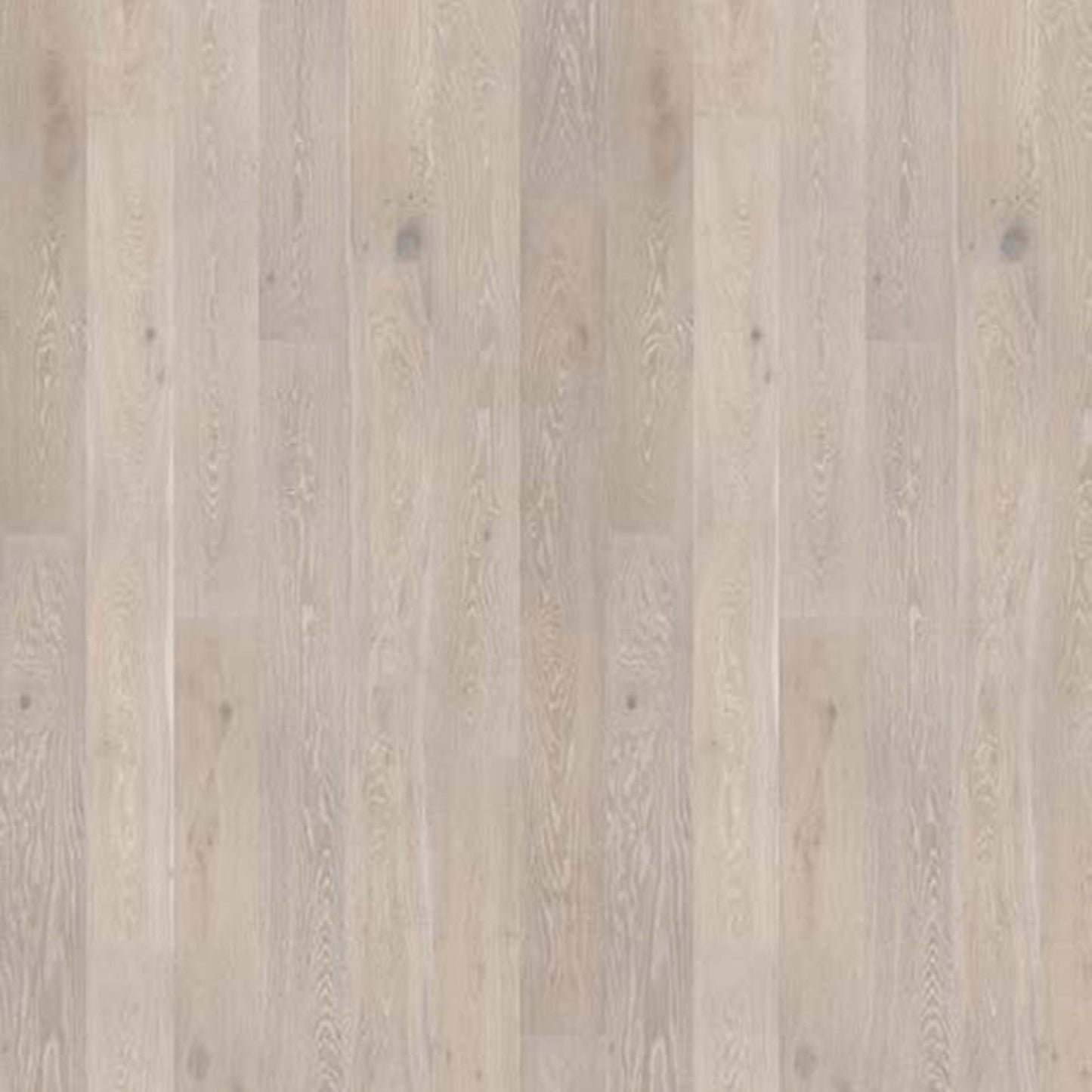 Milky Way Collection in Northern Light Hardwood
