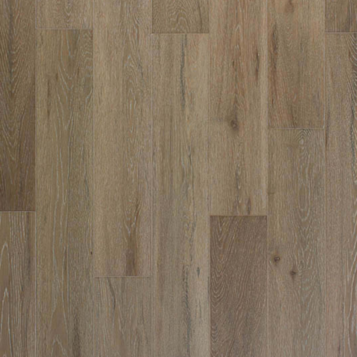 Preserve Collection in Lunar Eclipse Hardwood