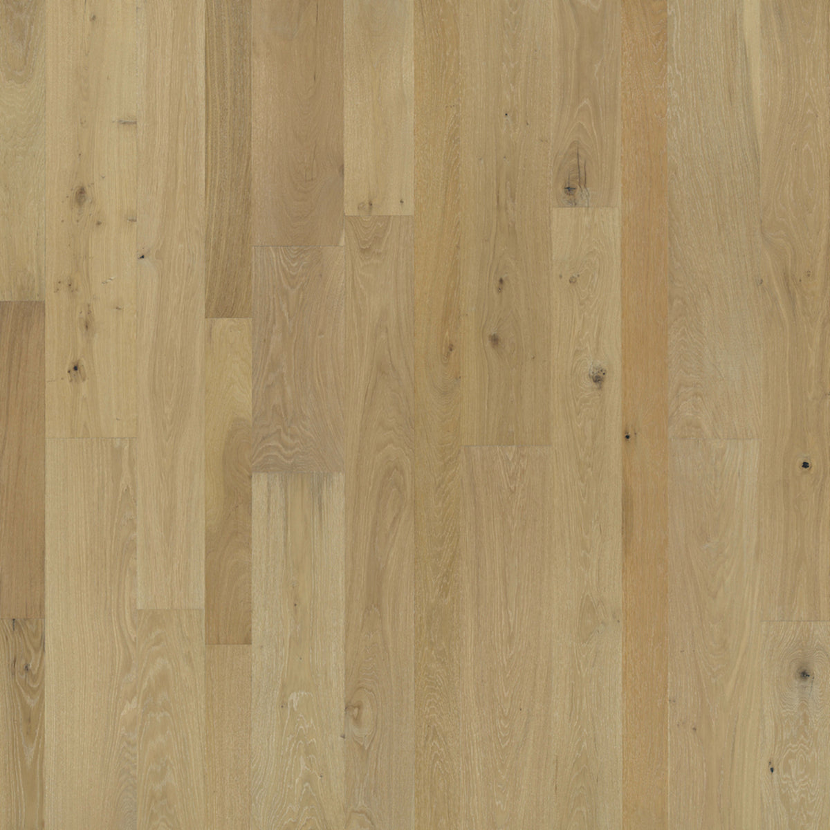 Monterey Hardwood in Alhambra Hardwood