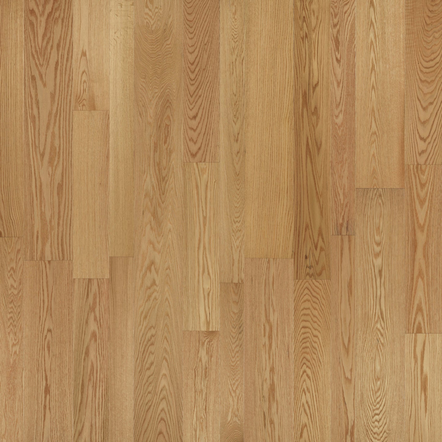Monterey Hardwood in Cantina Hardwood