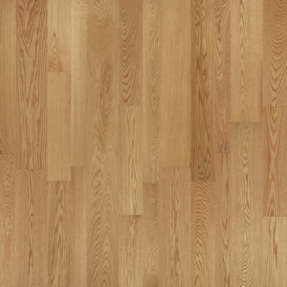Monterey Hardwood in Cantina Hardwood