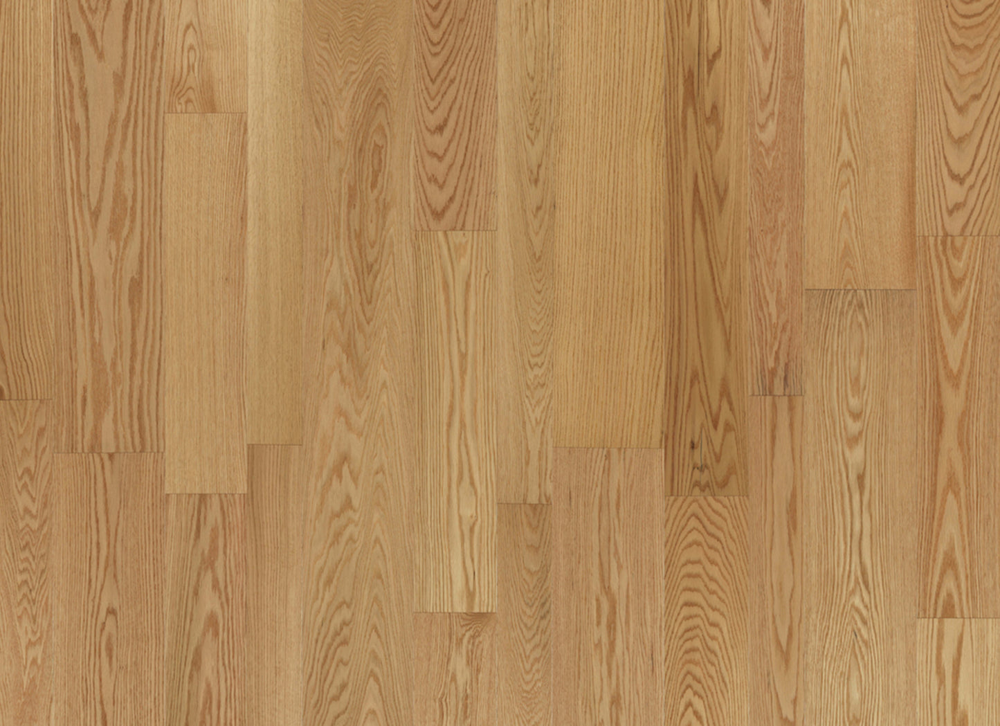 Monterey Hardwood in Cantina