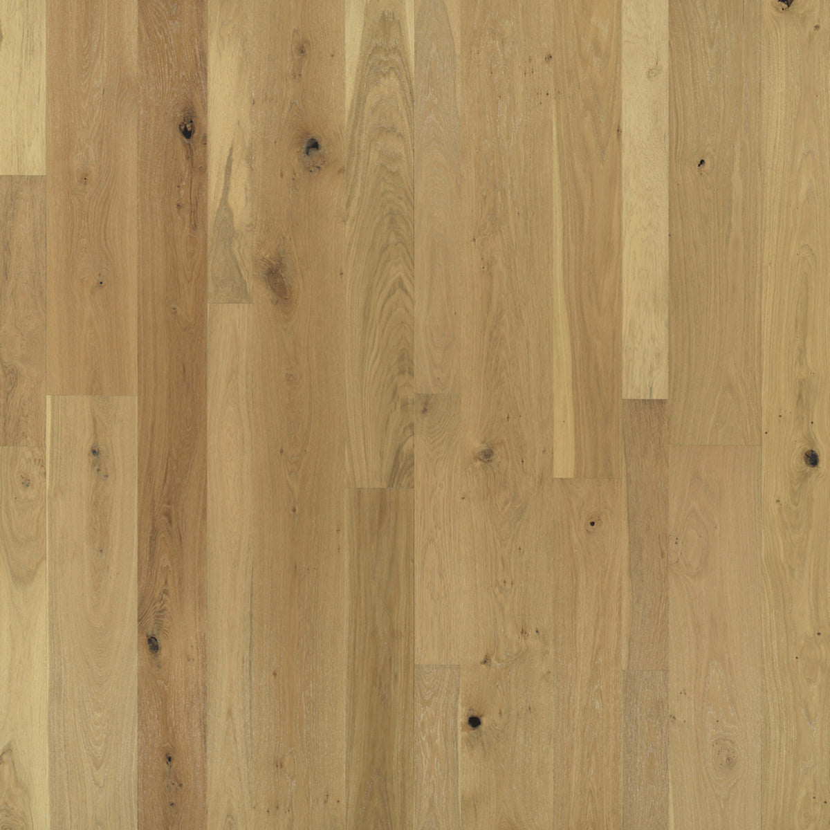 Monterey Hardwood in Cheyenne Hardwood