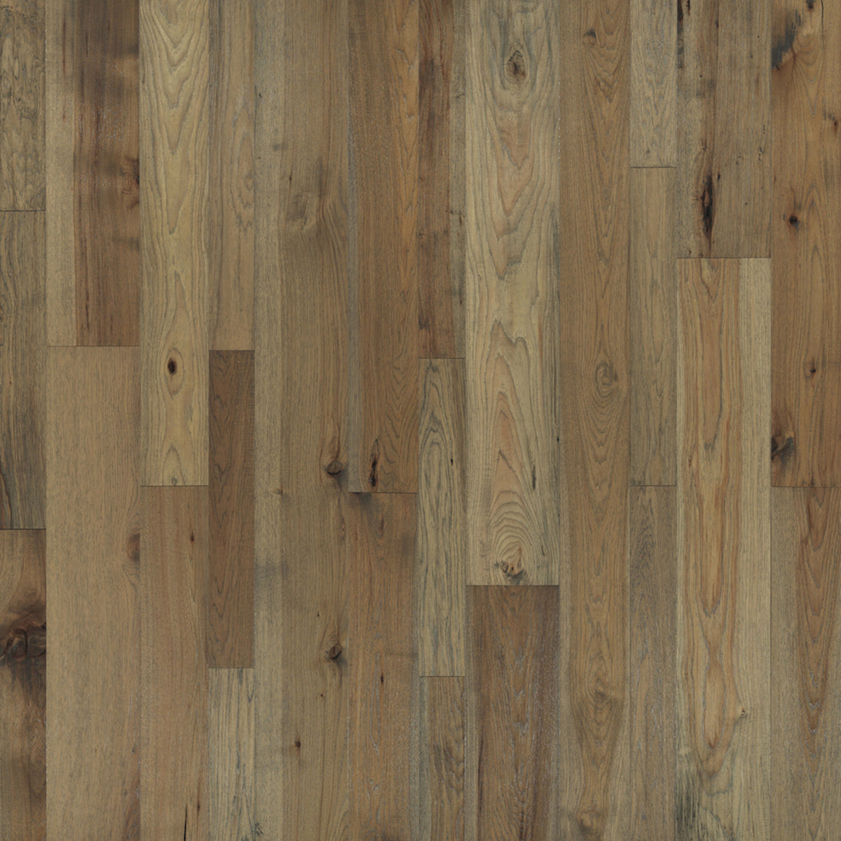 Monterey Hardwood in Palomino Hardwood