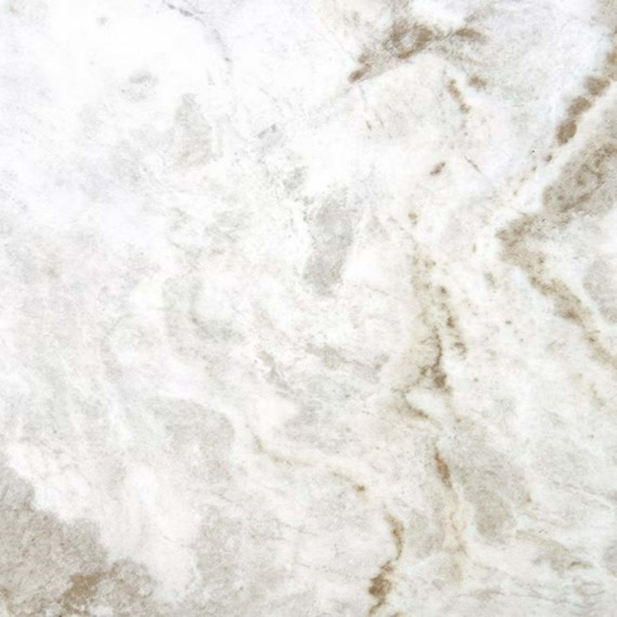 Mythique Marble in Majestic-24x24.3125-Matte Tile