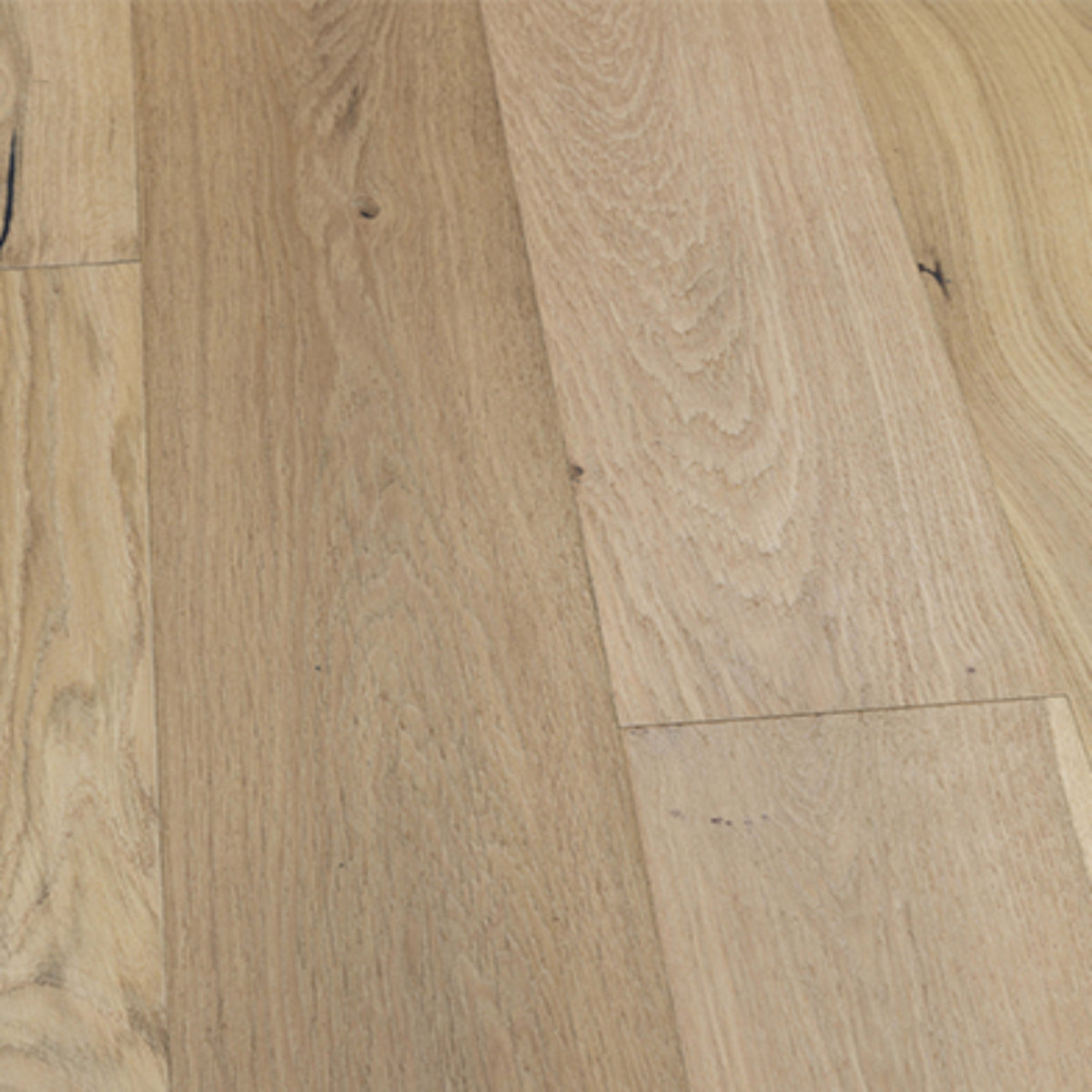 Monza Collection in Paderno Hardwood