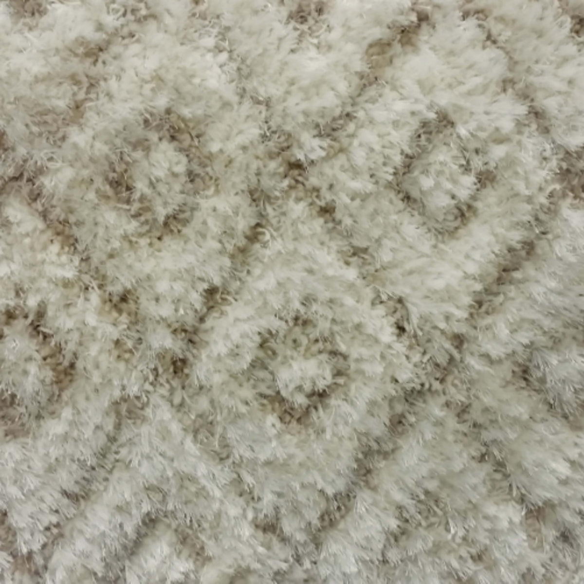 Magnificent in Rapt Carpet