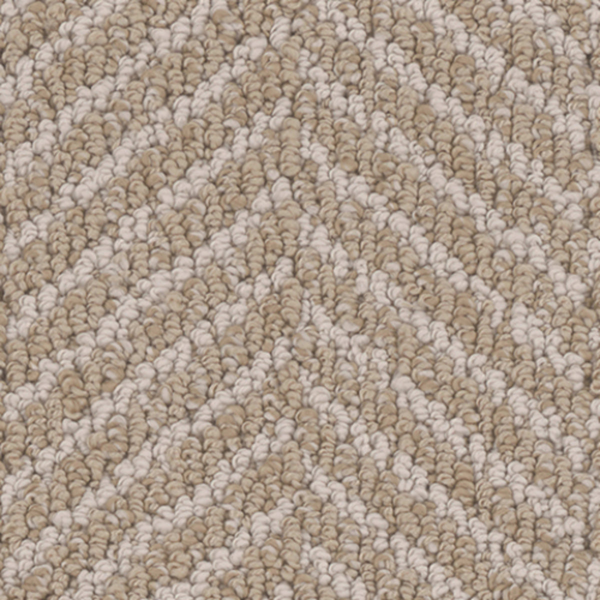 Marguerite in Catalina Carpet