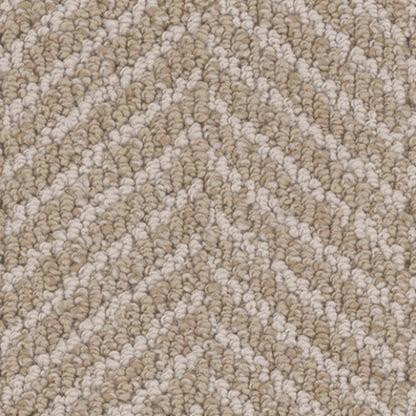 Marguerite in Catalina Carpet