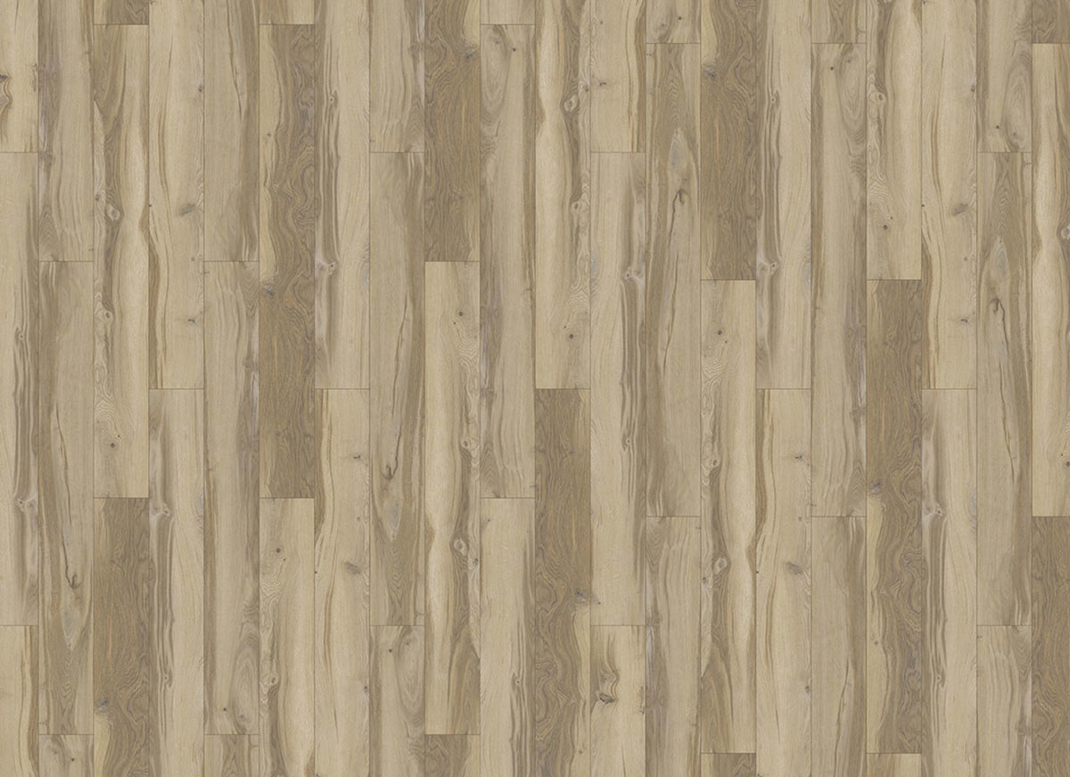 Innovious - Curio in Marigold Oak