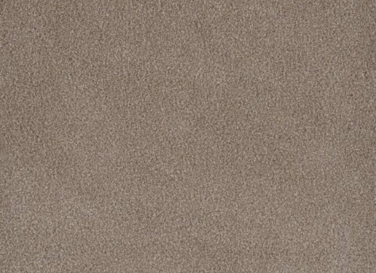 PALMETTO I