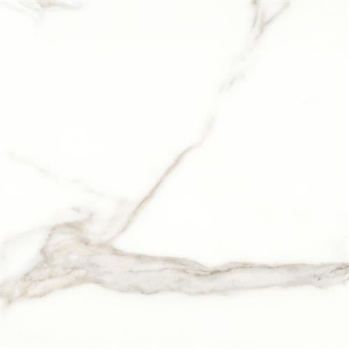 Mayfair in Calacatta - 24x24 Matte Tile