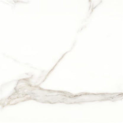 Mayfair in Calacatta - 24x24 Polished Tile