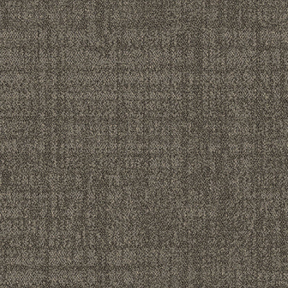 Metro - Carpet Tile in Coastal Carpet