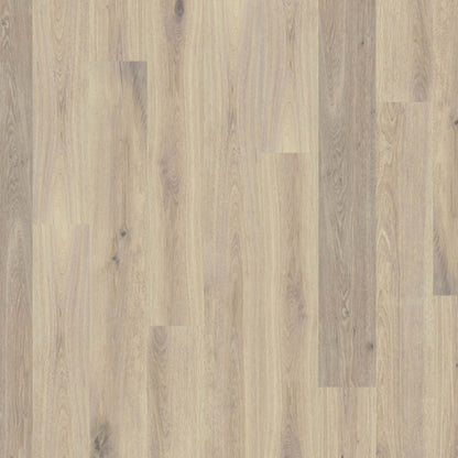 Global Winds in Mistral Hardwood