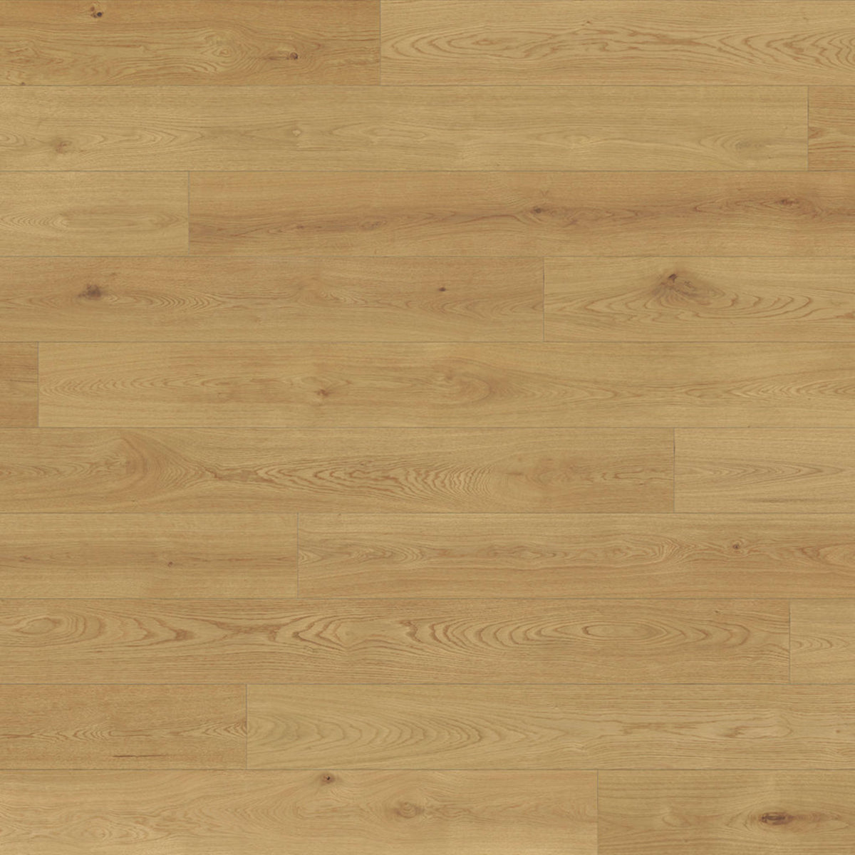 Renaissance in Modena Hardwood