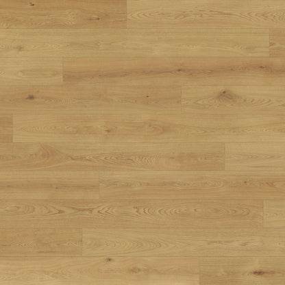 Renaissance in Modena Hardwood