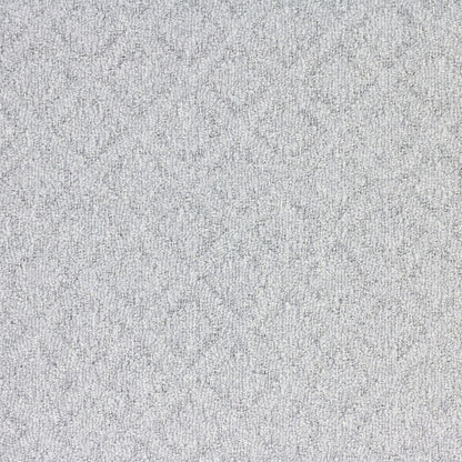 Mojave in Valley Carpet
