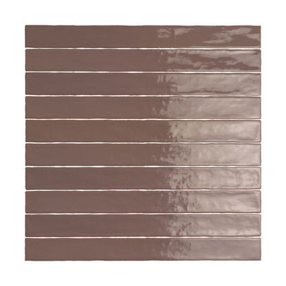 Linea in Moka Glossy 2 X 20 Tile