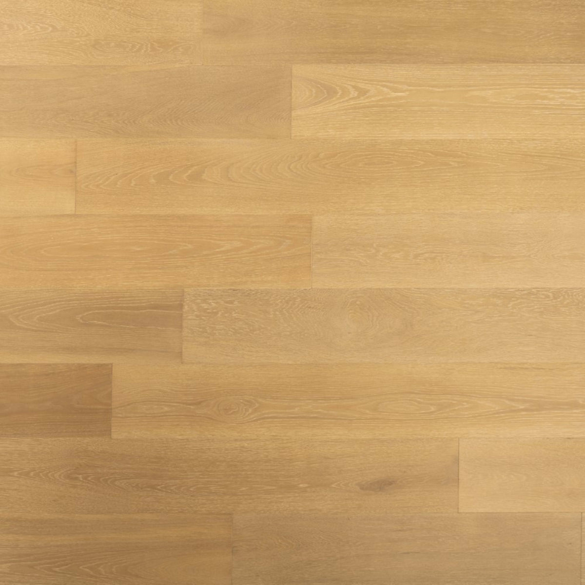 Pristine in Monarch Hardwood
