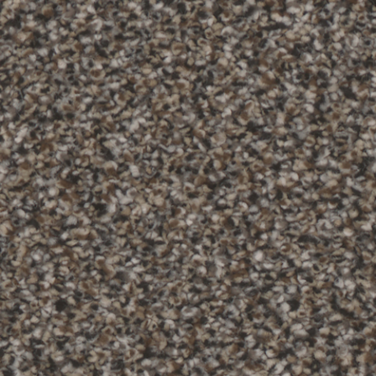 Montecito in Ritzy Carpet