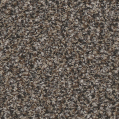 Montecito in Ritzy Carpet