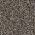 Montecito in Ritzy Carpet